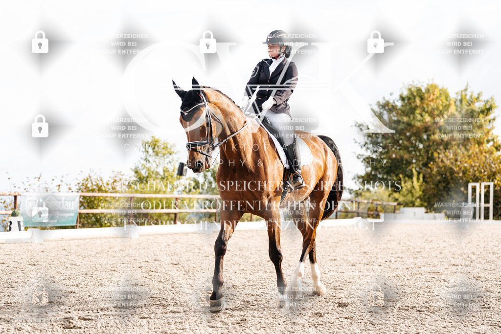 CK900758 | Turnierfotografie Pferdefotografie Trier Rheinland-Pfalz Pferdesport Reitsport Tierfotografie Sportfotografie Pferdevideo Pferdevideografie Equestrianvideography equestrianphotography  - Realisiert mit Pictrs.com