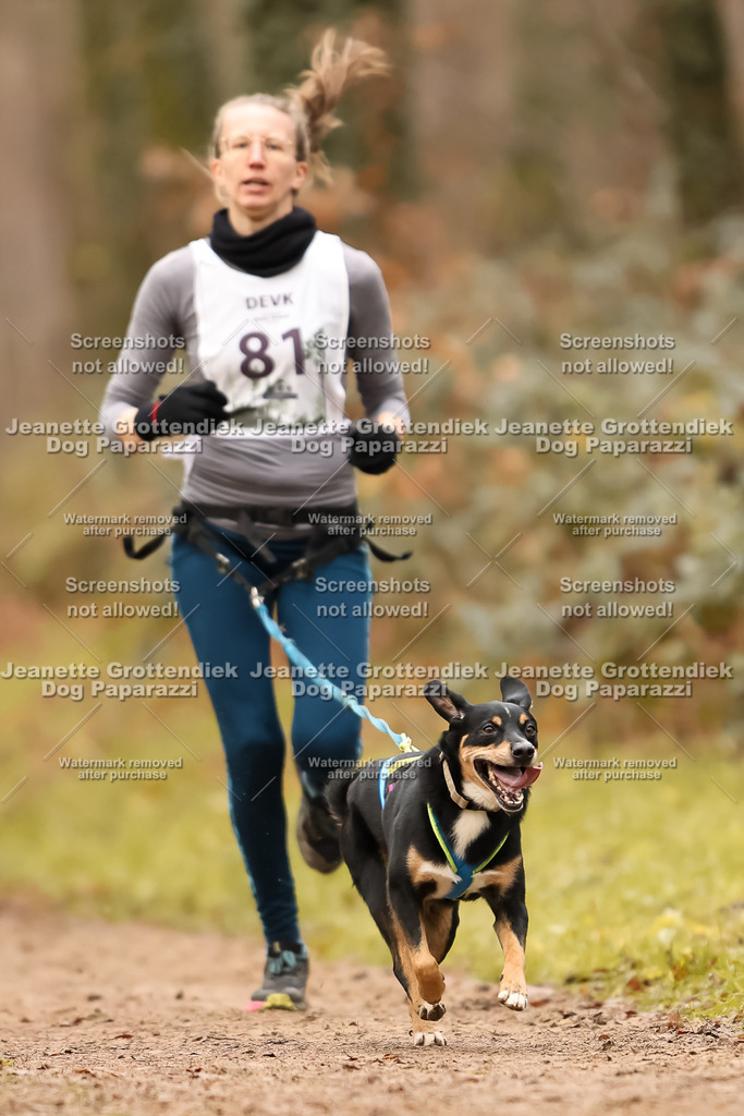 Dog Paparazzi - Speedhunter Mannheim  2025-233 | Dog Paparazzi Jeanette Grottendiek Fotografie & Videografie