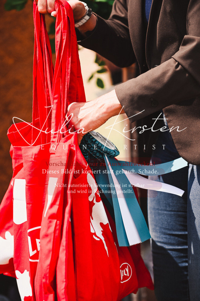 DSC_6397 | Pferde- und Turnierfotografie in Westsachsen. Pferdeportraits, Auftragszeichnungen und intuitive Kunst.