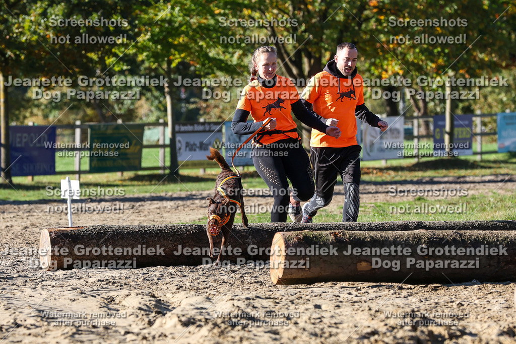 Dog Paparazzi - Strongdog 10-25-2060 | Dog Paparazzi Jeanette Grottendiek Fotografie & Videografie - Realisiert mit Pictrs.com