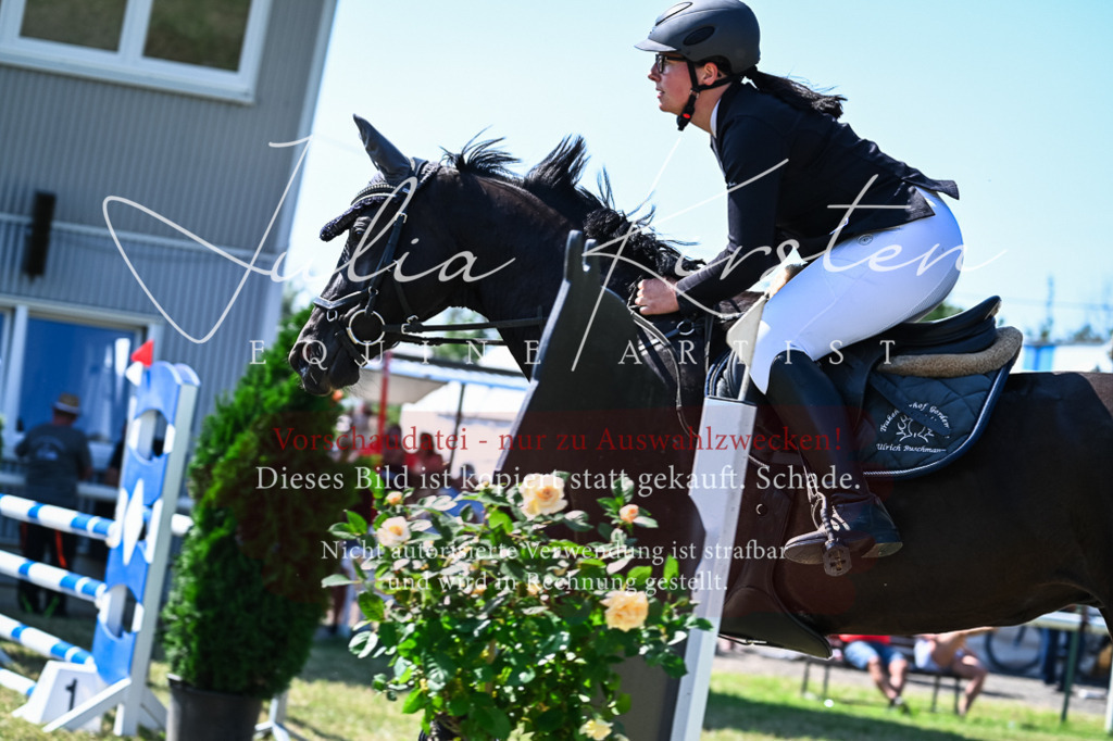 DSC_1635 | Pferde- und Turnierfotografie in Westsachsen. Pferdeportraits, Auftragszeichnungen und intuitive Kunst.