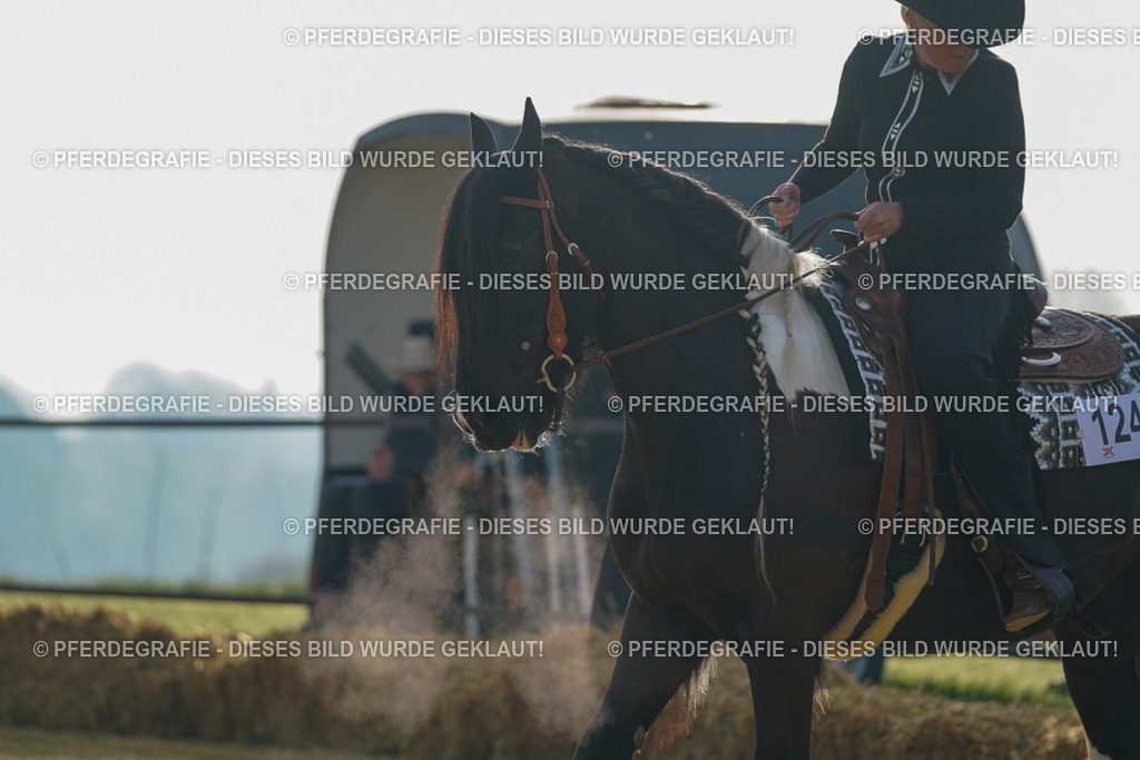 DSC09894 | Pferdegrafie