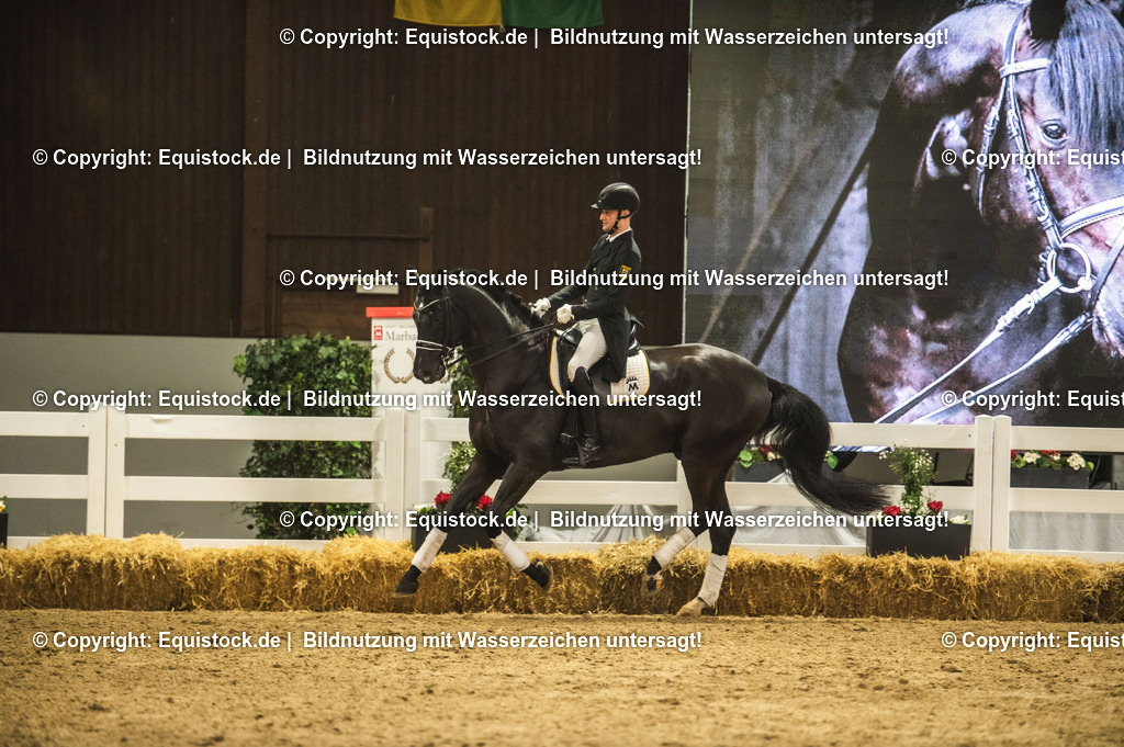 20240302_Hengstvorstellung_Marbach_TOMsPiC_1545 | equistock