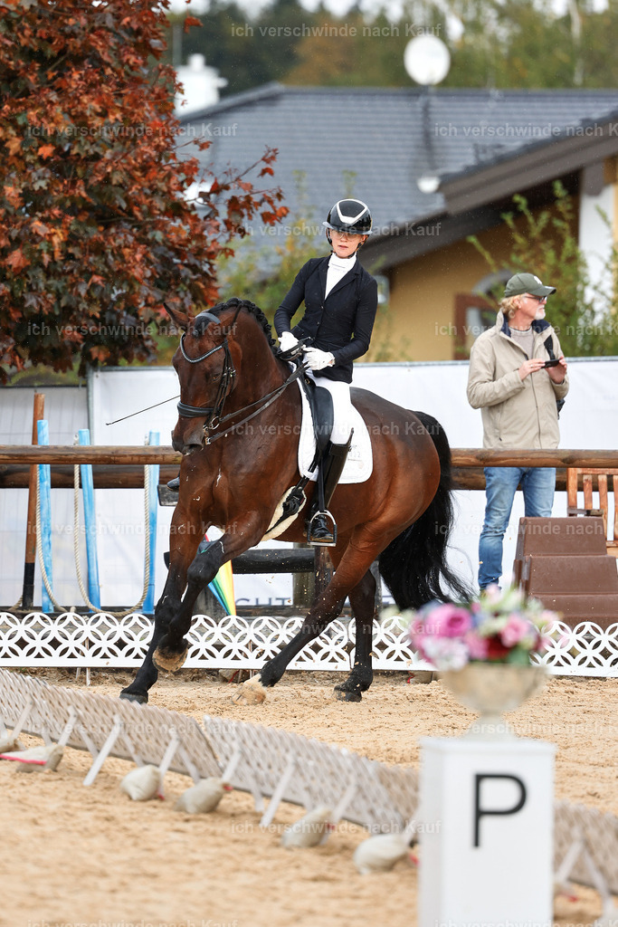 05-022-DRESSUR M_  -StoibPH-4914 | working equitationturnier fotograf videograf stoibphotography marixx film working equitation deutschland reitsport turnierfotografie eventfotografie equestrian events