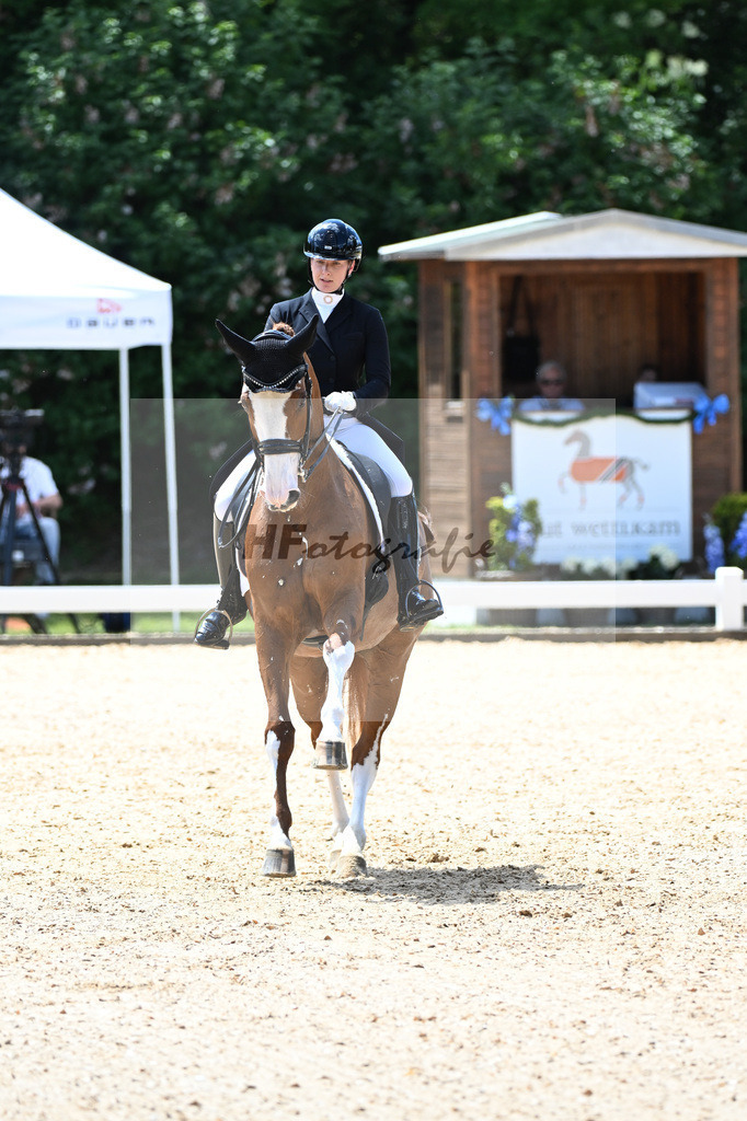 Harsdorf_Daydream d Arion_11252902 | hf-fotografie - Realizzato con Pictrs.com
