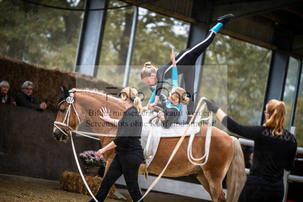 DOS_0309 | Entdecke hochwertige Reitturnierfotos von Foto Oger. Professionell, emotional und authentisch – jetzt Lieblingsmomente im Shop bestellen.Deutschlandweite Turnierfotografie. - Realisiert mit Pictrs.com