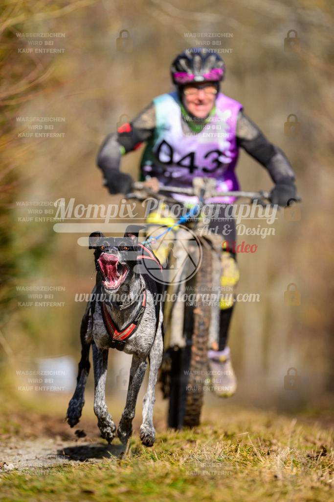 MompixPhotography_Schwabentrail2025_SO_Bike-64 | PayLife