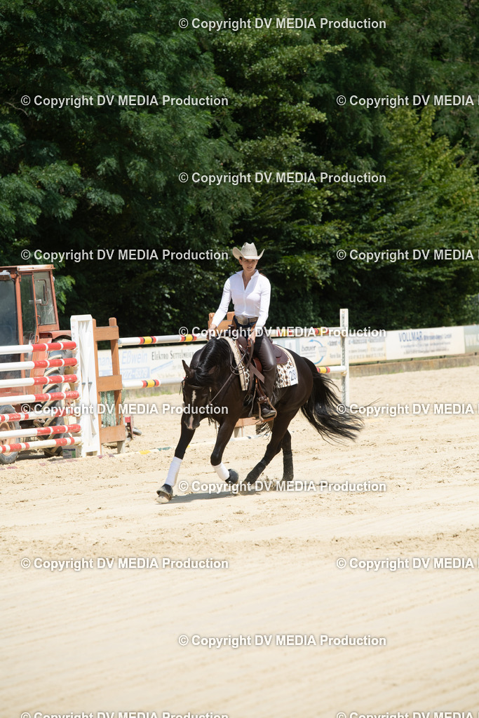 ZS3_9992 | dv-media-shop - Realisiert mit Pictrs.com