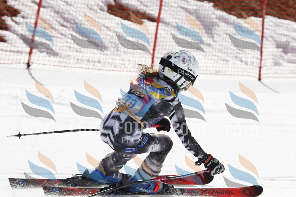 _U3G9990 | holidayphoto