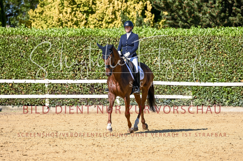 Schugtsche-Aluta25-50.Dressurpferdeprf.L-209 | Schugtsche Fotografie - Realisiert mit Pictrs.com