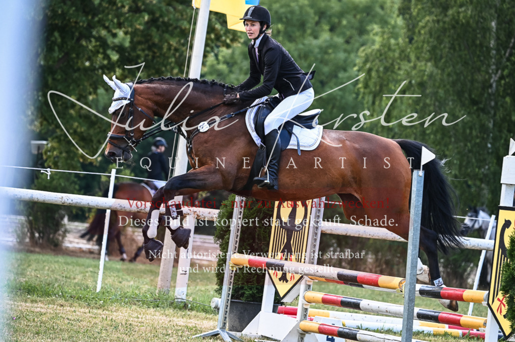 DSC_8059 | Pferde- und Turnierfotografie in Westsachsen. Pferdeportraits, Auftragszeichnungen und intuitive Kunst.