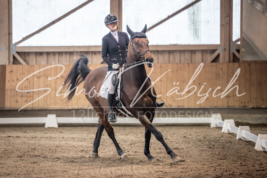 20251011-_3LI9934 | Tierfotografie Pferde, Hunde, Katzen, Haustiere.
Turnierfotografie Reitturniere, Reiten, Springreiten, Dressur in Hanau, dem Main-Kinzig-Kreis und dem Rhein-Main- Gebiet um Frankfurt