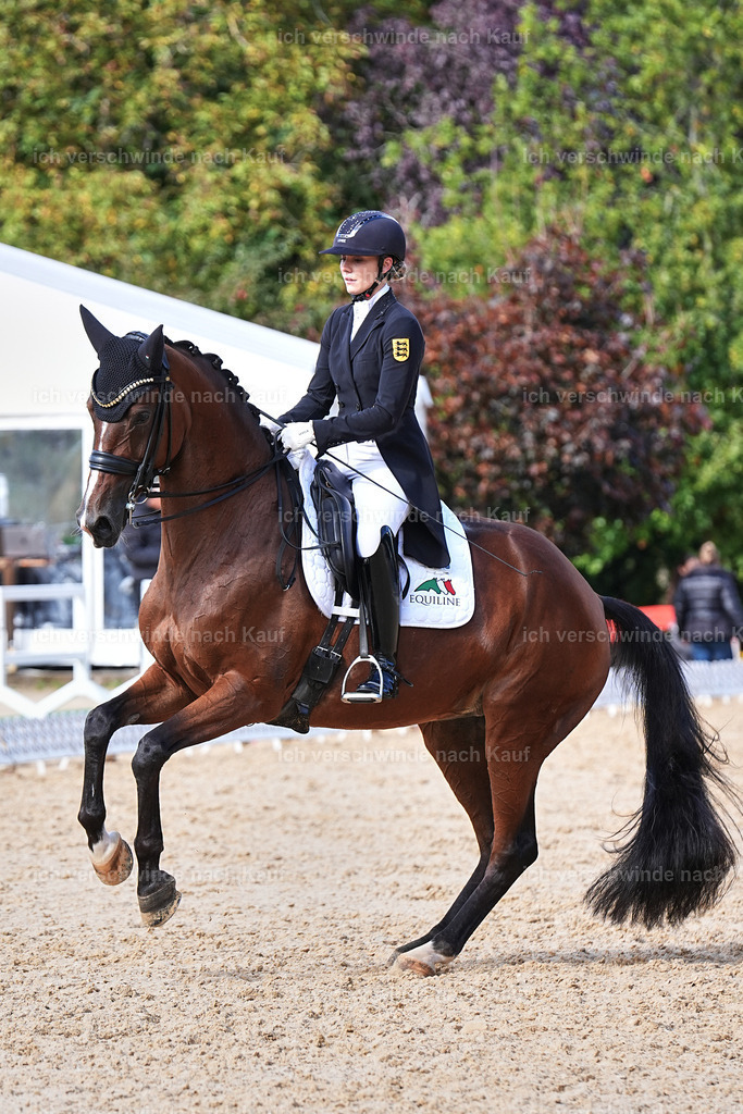 07-003-DRESSUR  S___  -Marixx-5162 | working equitationturnier fotograf videograf stoibphotography marixx film working equitation deutschland reitsport turnierfotografie eventfotografie equestrian events