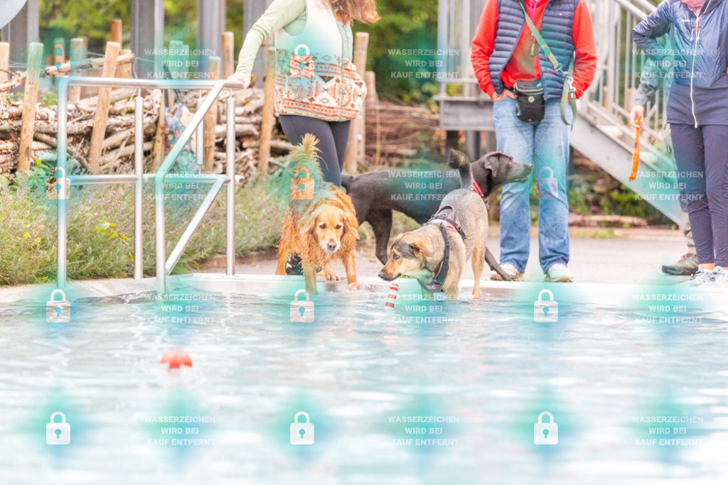 _HP_7172_1000o | HetPix, HetPix Fotodesign, Fotografie, Fotodesign, Webshop, Sportfotografie, Portraitfotografie, Onlineshop, Sportfotografie, Polch, Motorsportfotografie, Eventfotografie