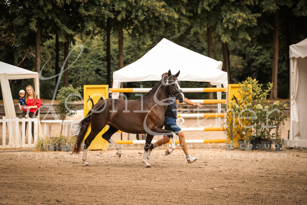 10.-12.Elite00053 | Leoni Ertmer Photography - Realisiert mit Pictrs.com