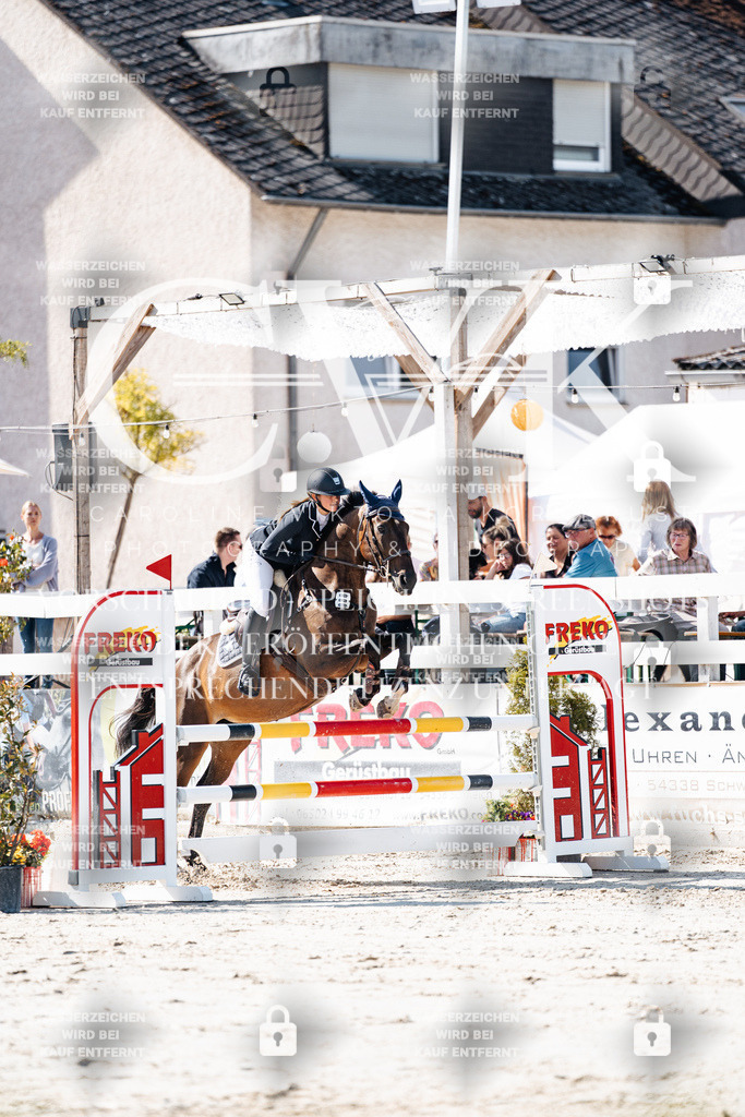 CK907847 | Turnierfotografie Pferdefotografie Trier Rheinland-Pfalz Pferdesport Reitsport Tierfotografie Sportfotografie Pferdevideo Pferdevideografie Equestrianvideography equestrianphotography  - Realisiert mit Pictrs.com