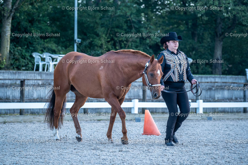 HOB07607 | BS-foto