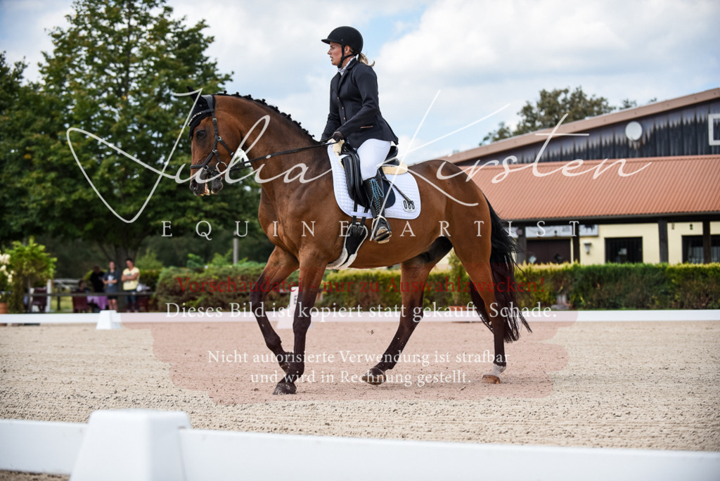 DSC_9017 | Pferde- und Turnierfotografie in Westsachsen. Pferdeportraits, Auftragszeichnungen und intuitive Kunst.