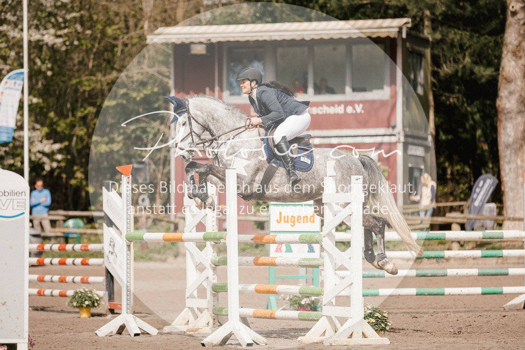 3I6A4240 | Stimmungsvolle Portraits und Reitsportfotografie im Ruhrgebiet und im Münsterland.

Pferdefotografie, Hundefotografie, Tierfotografie, Reportagen, Portraits von Tier und Mensch, Turnierfotografie in Bochum, Recklinghausen, Marl, Haltern am See, Dülmen.. - Realisiert mit Pictrs.com