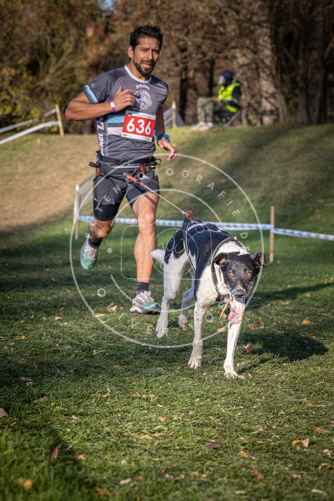 CaniXpix_0L8A8992 | Hundefotografie, Tierfotograf, Pfotenfotografie, Fotoshooting Hund, Hunde Portrait, Hundesport, Hundeportraits, Heideshooting, Hunde, Sportfotograf, Hundefotograf, Turnierhundsport, THS,  - Realisiert mit Pictrs.com