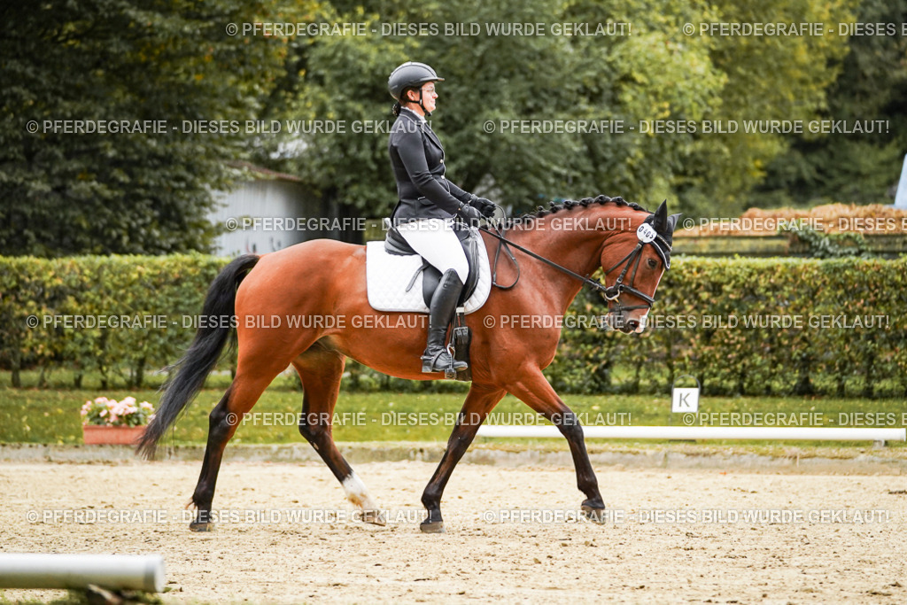 DSC07134 | Pferdegrafie