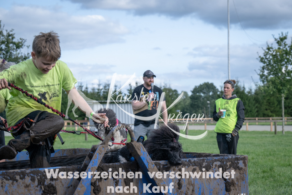 1614_ZZ92079 | kk-dogfotos