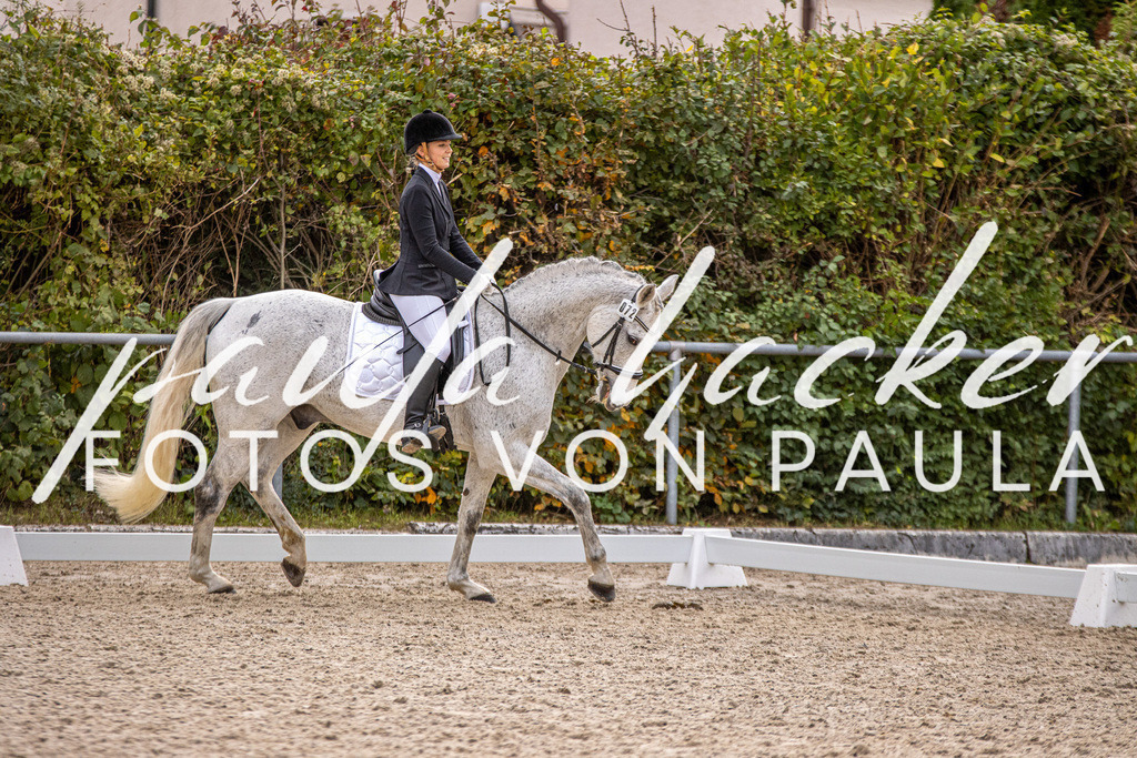 IMG_3100 | Erleben Sie dynamische Sport- und emotionale Tierfotografie in Süddeutschland mit Fotos von Paula. Spezialisiert auf Pferde- und Hundefotografie sowie Sportevents. Kontaktieren Sie mich für einzigartige und ausdrucksstarke Bilder Ihrer besonderen Momente.