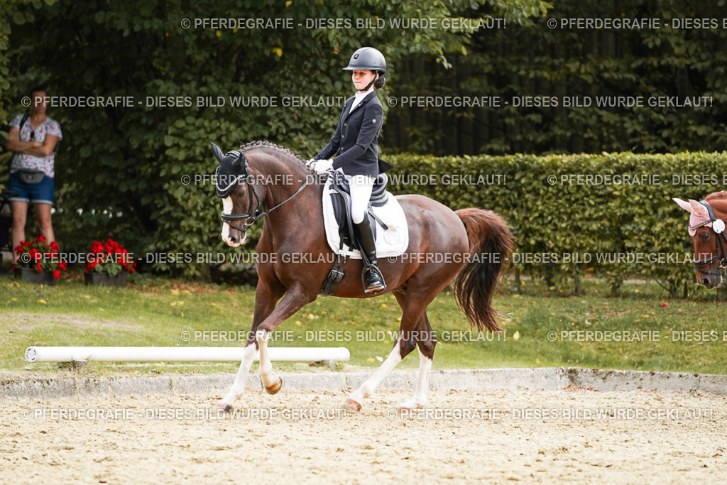 DSC00934 | Pferdegrafie