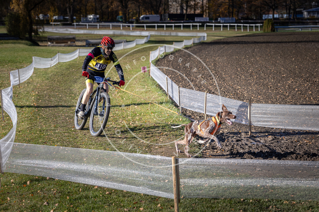 CaniXpix_DV3A6323 | Hundefotografie, Tierfotograf, Pfotenfotografie, Fotoshooting Hund, Hunde Portrait, Hundesport, Hundeportraits, Heideshooting, Hunde, Sportfotograf, Hundefotograf, Turnierhundsport, THS,  - Realisiert mit Pictrs.com