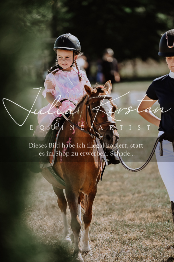 DSC_8999 | Pferde- und Turnierfotografie in Westsachsen. Pferdeportraits, Auftragszeichnungen und intuitive Kunst.