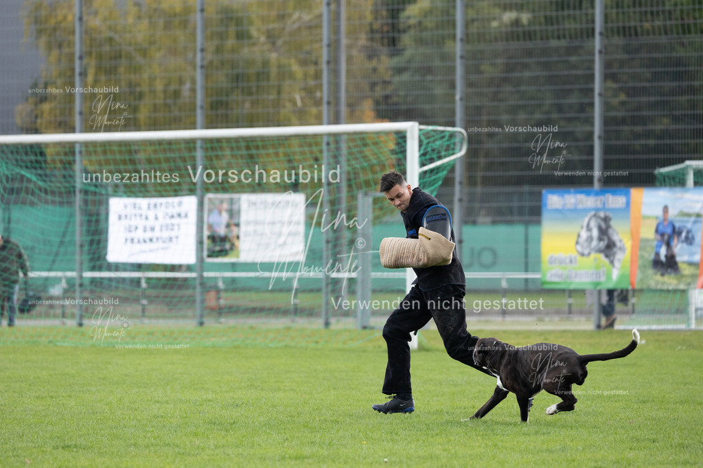 _16A7106 | Einzigartige Fotos von Hunden & Menschen –Actionfotos, Portraits, Vereinsaufnahmen & Paarshootings – authentisch, lebendig & mit Herz.