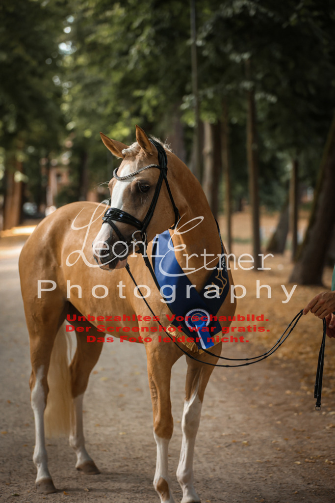 SoER00151 | Leoni Ertmer Photography - Realisiert mit Pictrs.com