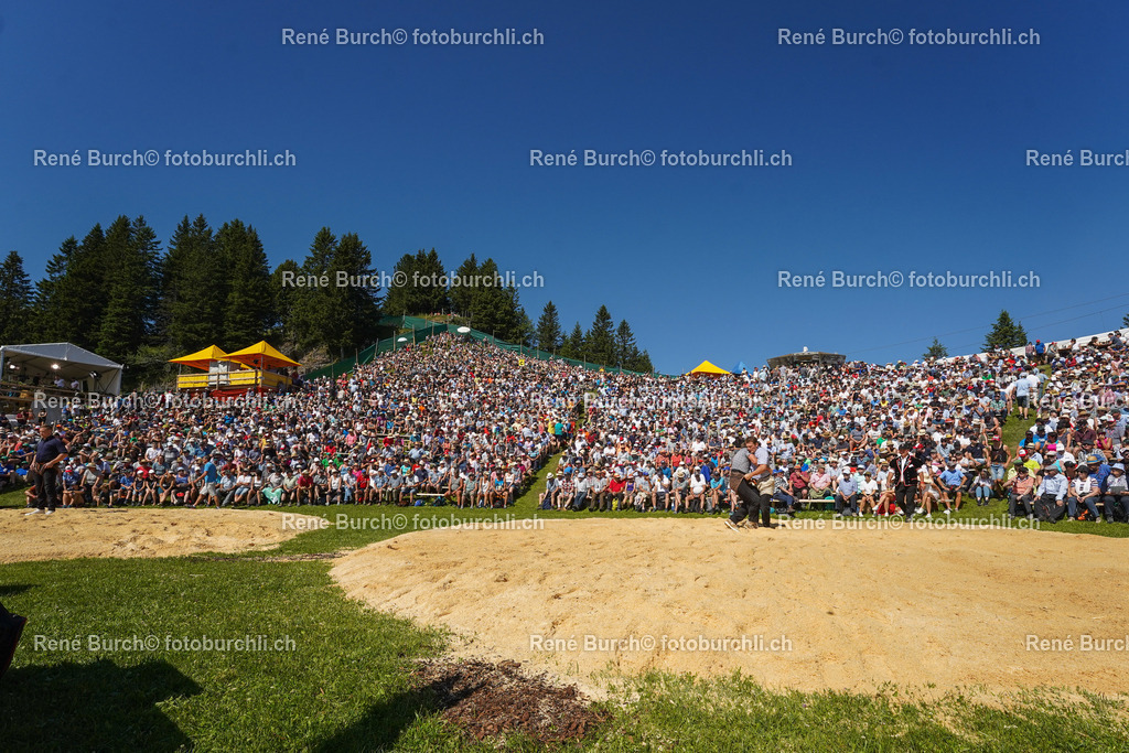DSC00631 | René Burch leidenschaftlicher Fotograf aus Kerns in Obwalden.  Hier finden sie Sport, Landschaft und Natur Fotografie.
 - Realisiert mit Pictrs.com
