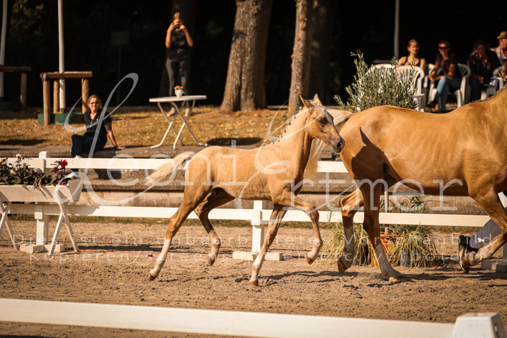 11.DoRP00095 | Leoni Ertmer Photography - Realisiert mit Pictrs.com