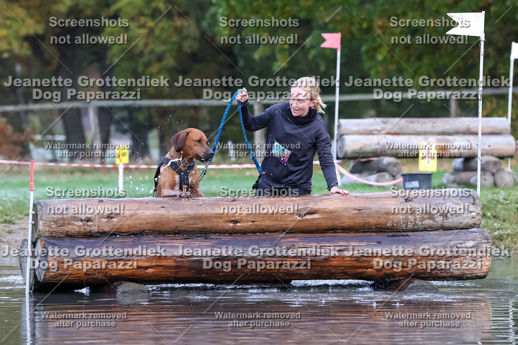 Dog Paparazzi - Strongdog 10-25-6346 | Dog Paparazzi Jeanette Grottendiek Fotografie & Videografie - Realisiert mit Pictrs.com