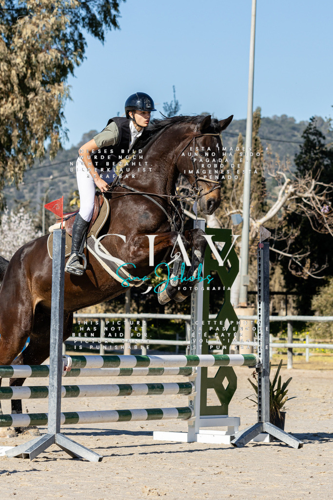 IMG_8961 | s-jay-photography - Realisiert mit Pictrs.com