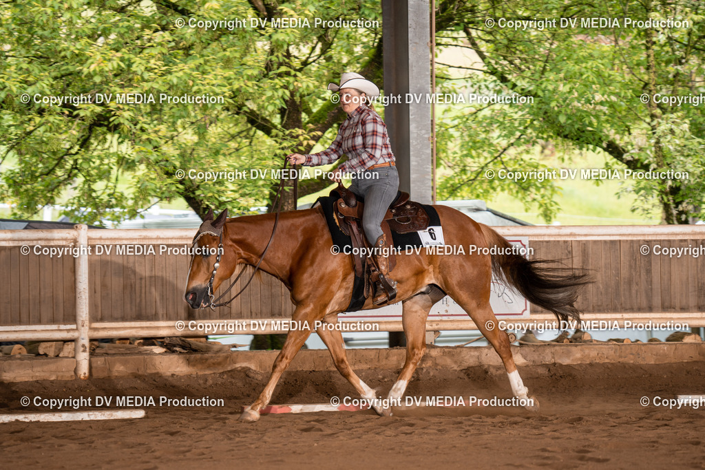 Erbach Tag 2-622 | dv-media-shop - Realisiert mit Pictrs.com