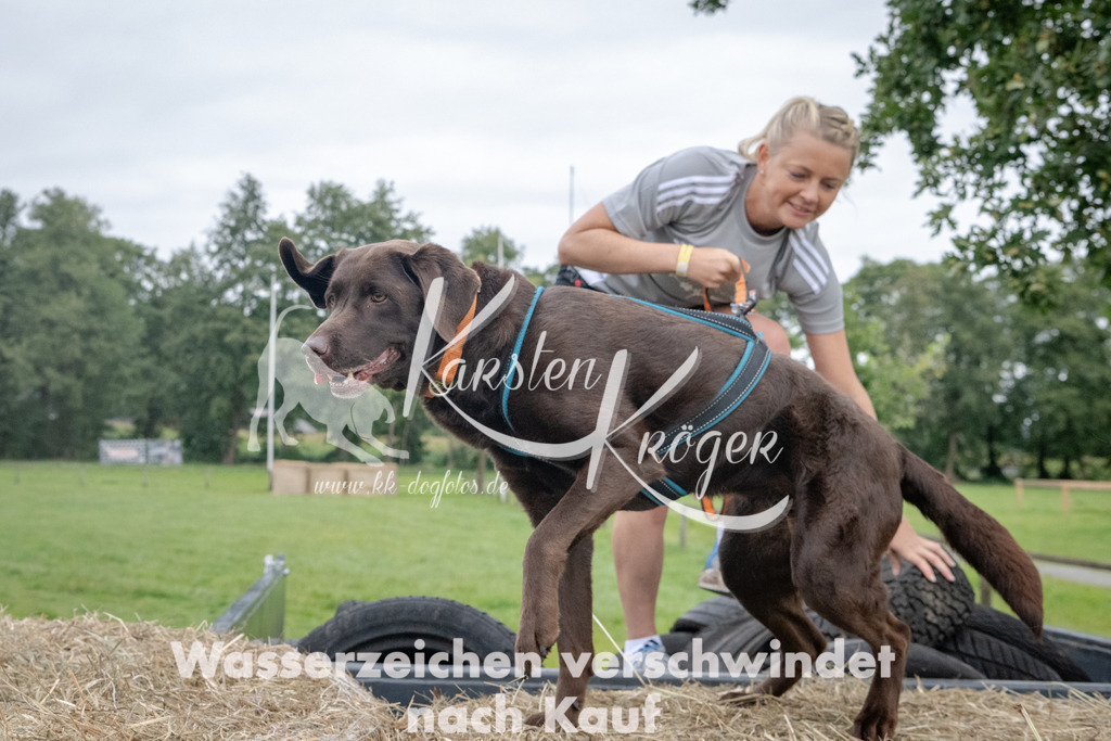 _ZZ92078 | kk-dogfotos