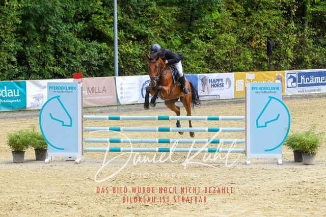 DKP40650 | Turniersportfotografie; Pferdefotografie; Dressurfotografie