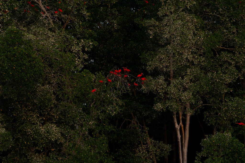 20251112-DeltaTour-0018 | paulependelt - Realisiert mit Pictrs.com