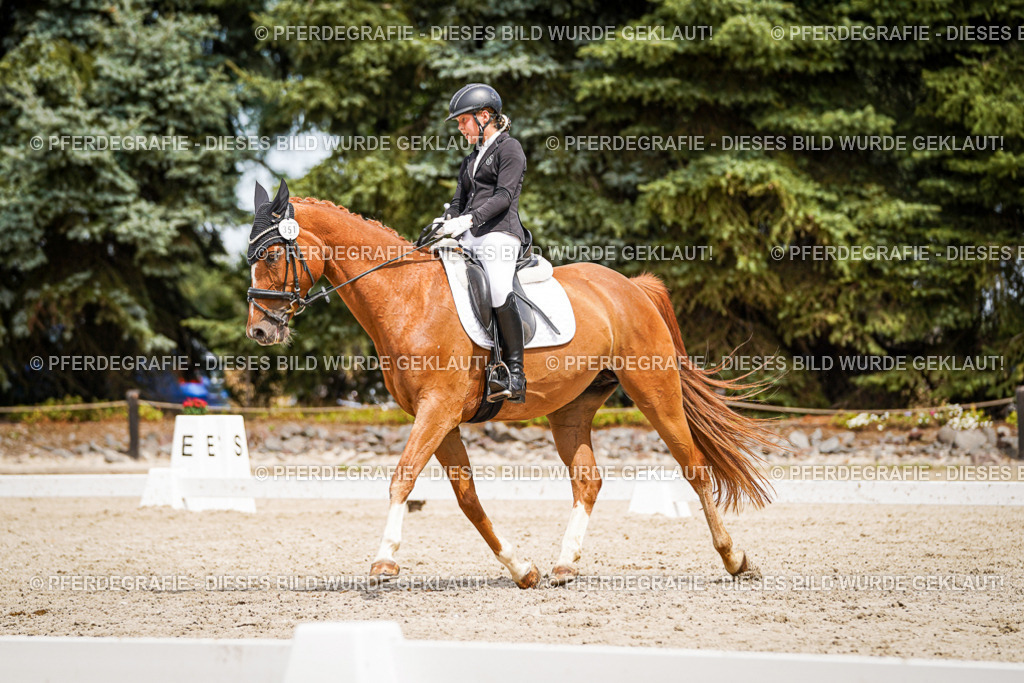 DSC03961 | Pferdegrafie