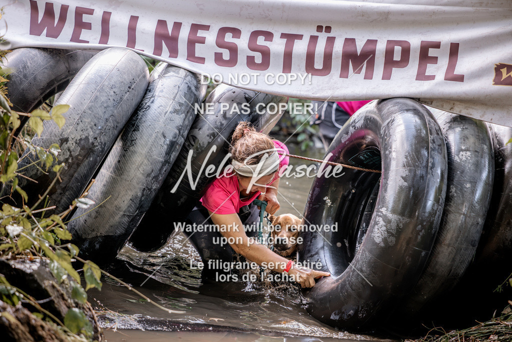 nelerasche_Hunsrück2026_Sa1400-1500_301 | nelerasche
