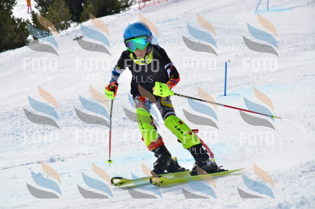 D0010 | holidayphoto