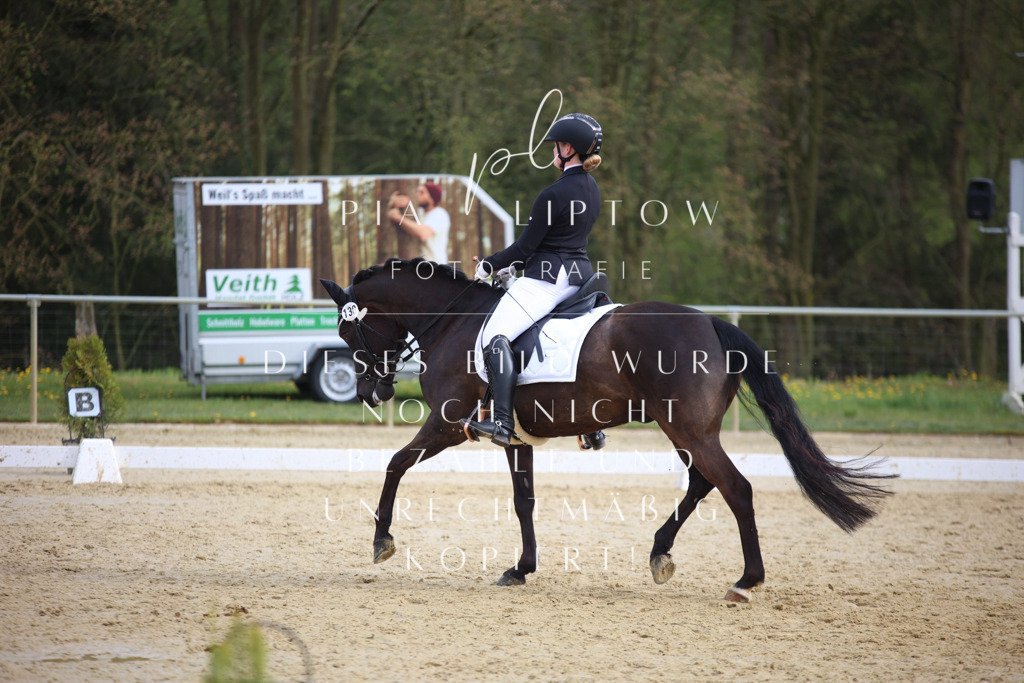 IMGT6969 | pl-fotografie