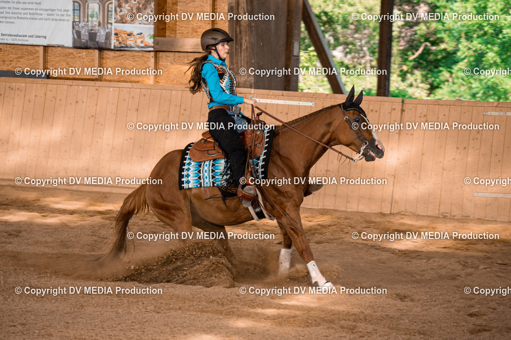 NE101147 | dv-media-shop - Realisiert mit Pictrs.com