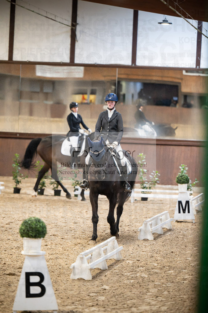 Hallenreittunier Voxtrup 2023 | Entdecke hochwertige Reitturnierfotos von Foto Oger. Professionell, emotional und authentisch – jetzt Lieblingsmomente im Shop bestellen.Deutschlandweite Turnierfotografie. - Realisiert mit Pictrs.com