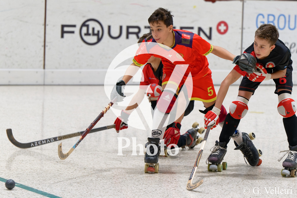 DSC_2963 | Velletri Photo