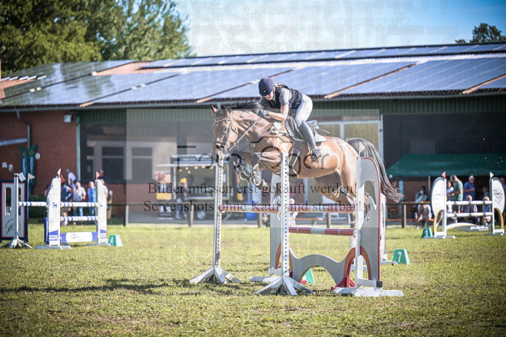 DOS_1029 | Entdecke hochwertige Reitturnierfotos von Foto Oger. Professionell, emotional und authentisch – jetzt Lieblingsmomente im Shop bestellen.Deutschlandweite Turnierfotografie. - Realisiert mit Pictrs.com