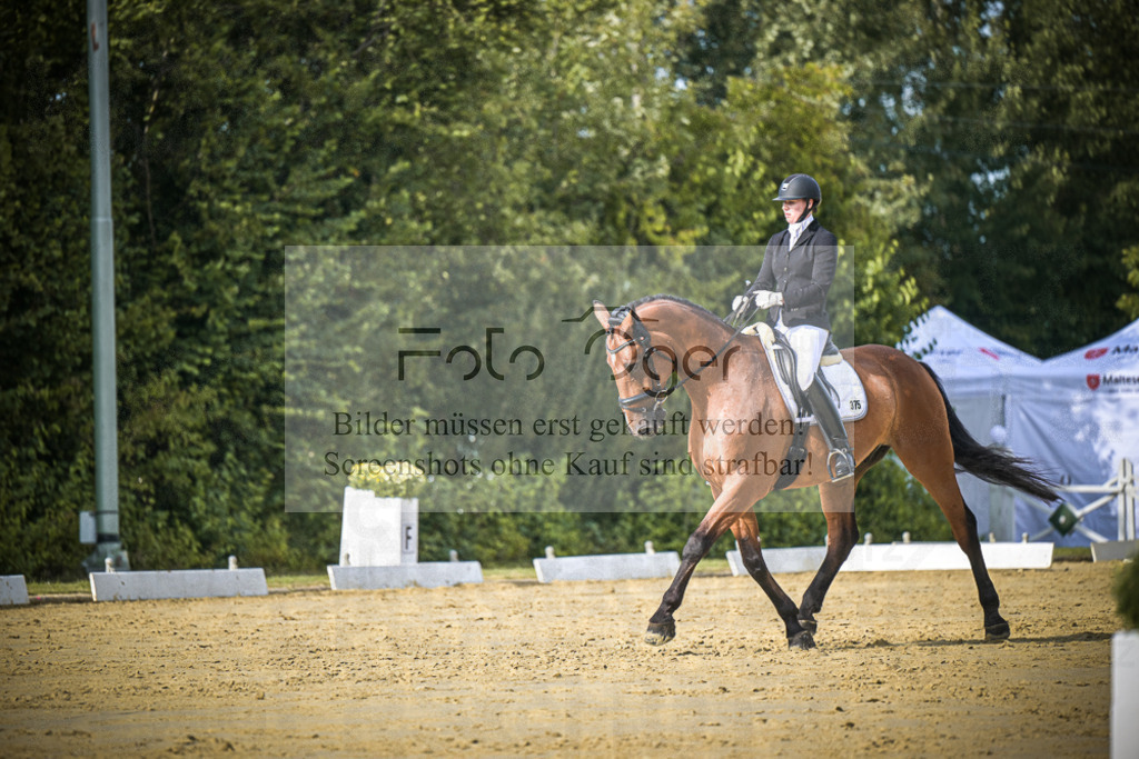 DOS_8288 | Entdecke hochwertige Reitturnierfotos von Foto Oger. Professionell, emotional und authentisch – jetzt Lieblingsmomente im Shop bestellen.Deutschlandweite Turnierfotografie. - Realisiert mit Pictrs.com