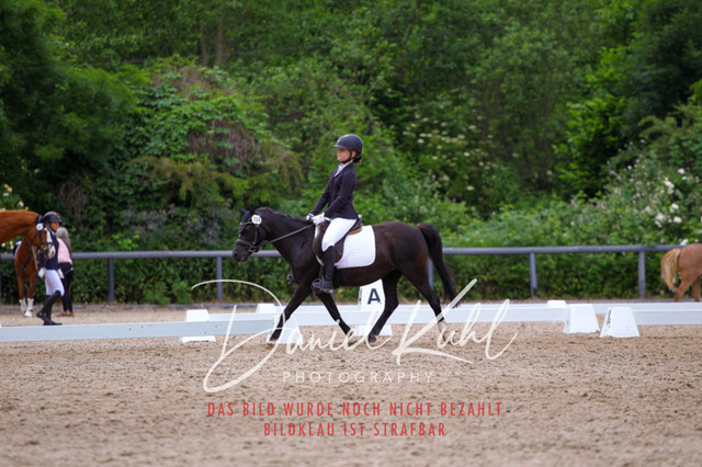 DKP46253 | Turnierfotos kaufen im Webshop von Daniel Kuhl Photography – entdecke professionelle Reitsportfotos aus Turnieren & Events. Hochwertige Turnierbilder online bestellen & sichern. Jetzt Fotos von Reitsportturnieren kaufen!